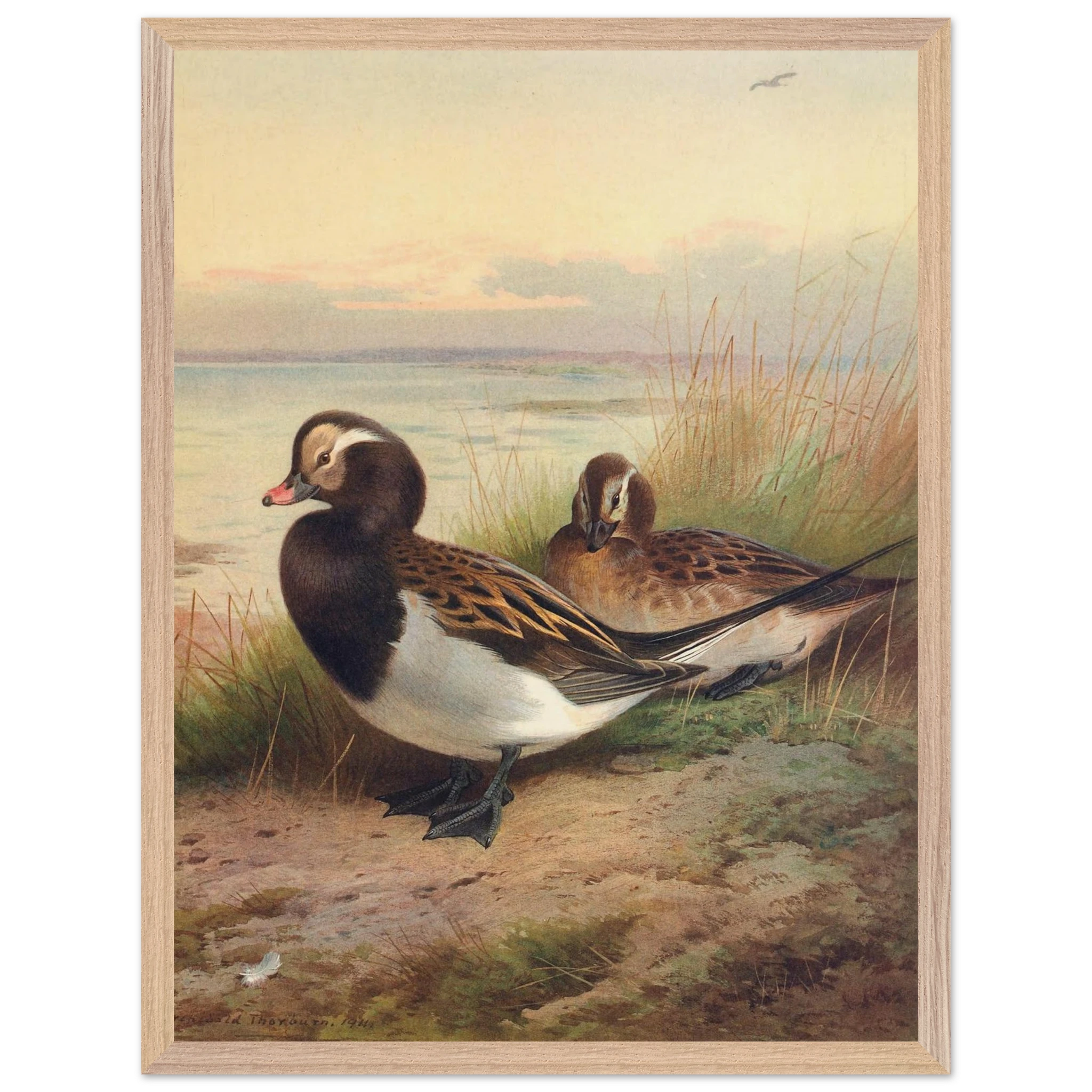 071369ce-a262-4337-9a10-0c0839e3c9af