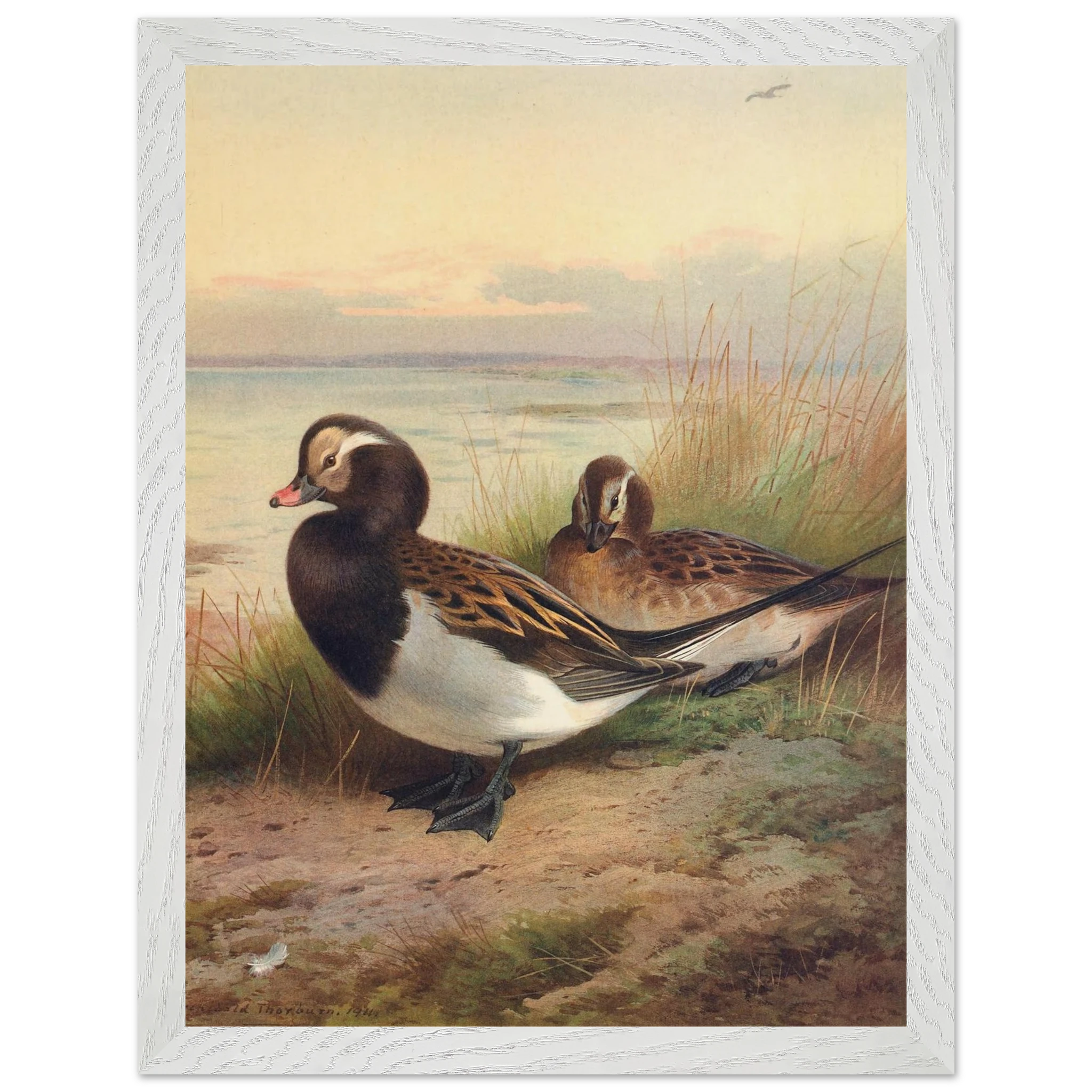 0b90e11f-a397-4060-b2e2-e03a326f17fc