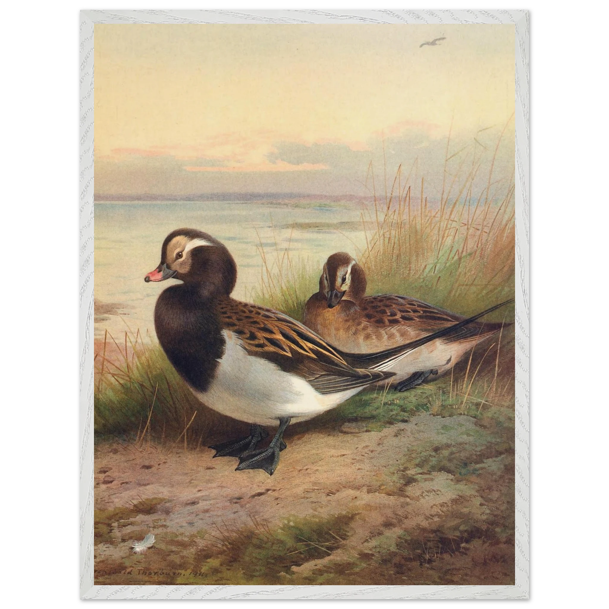 130e150e-766f-4958-ba1f-2ecf372f70bb