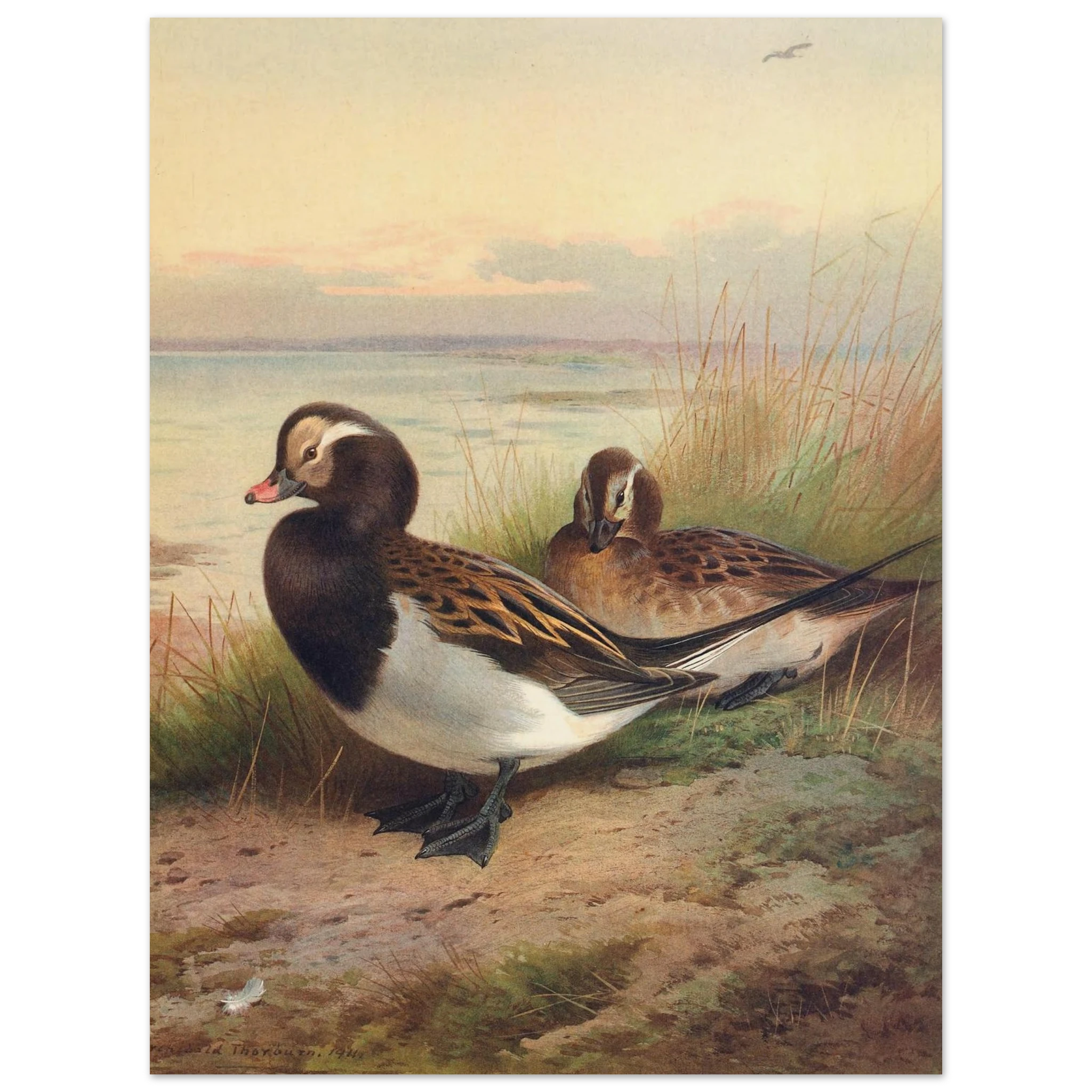 4609c80e-3a9c-4b10-a50d-6496a9940cab