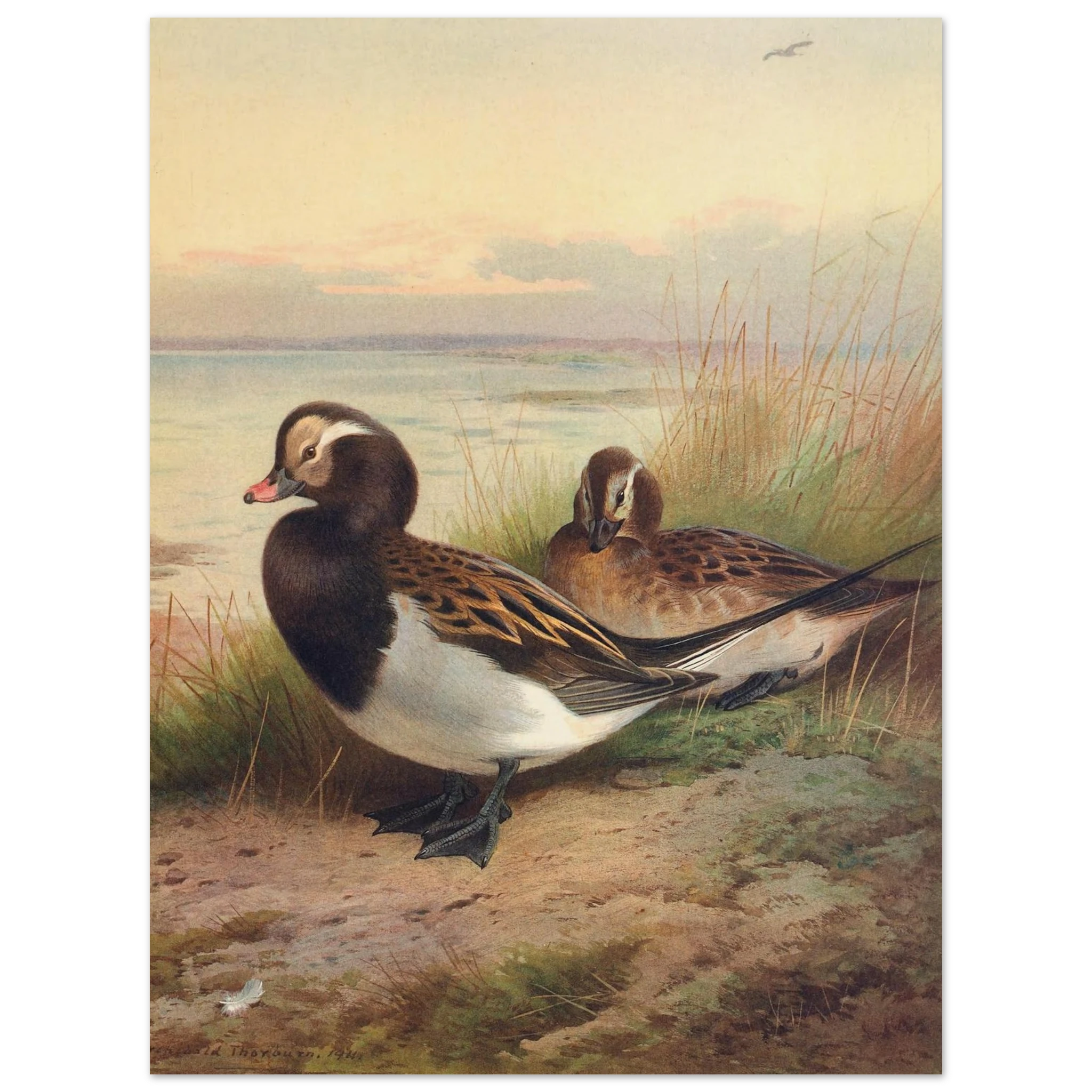 5aba9343-ac90-4cf6-8e8d-5dafe47ef461