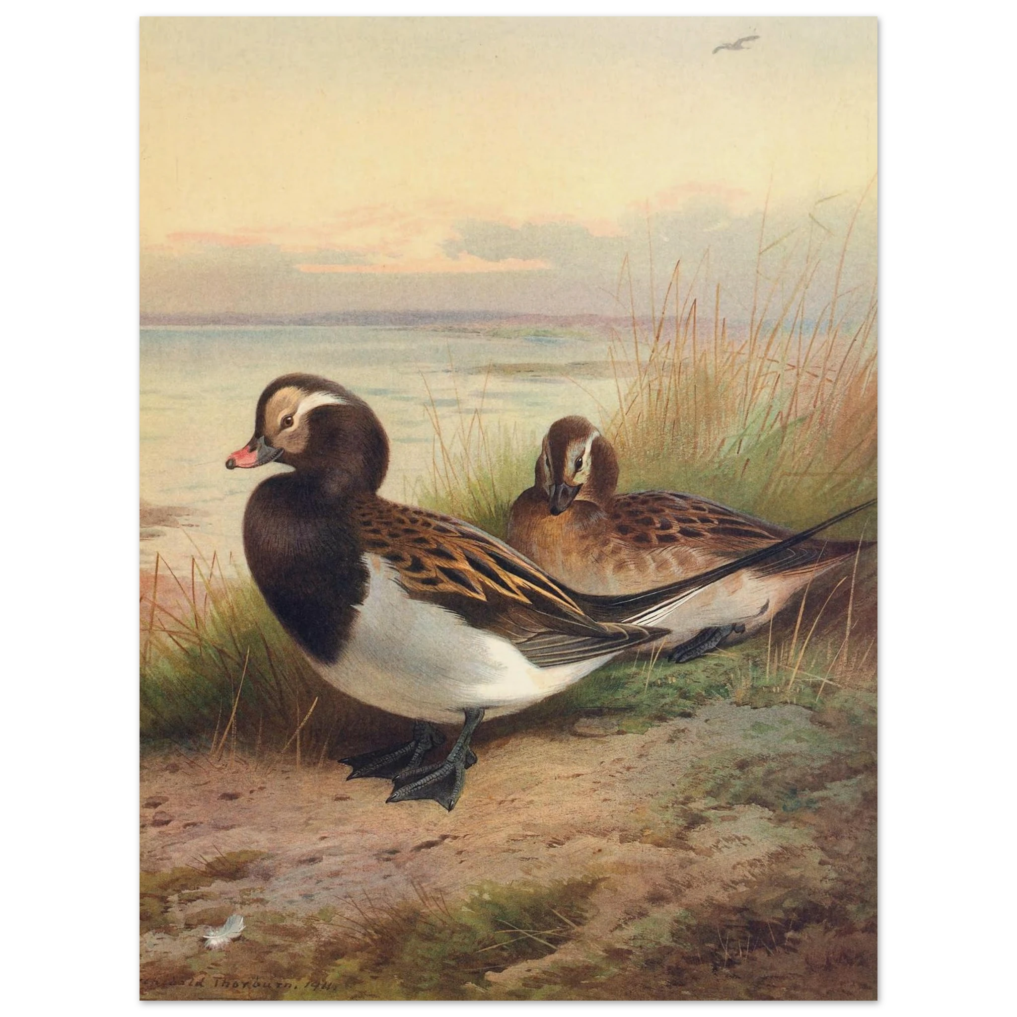 69f90066-e155-46cd-b858-815ed3018e9c