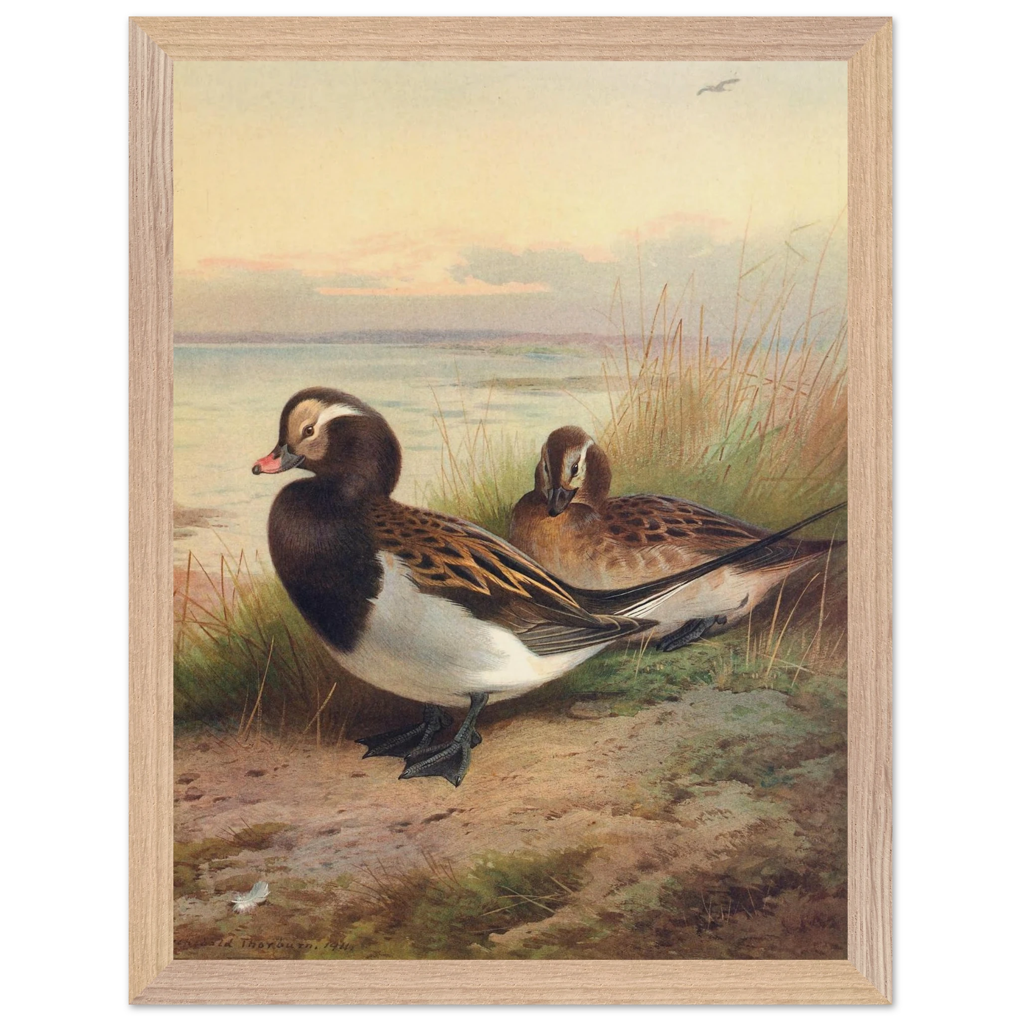 9d0ae902-b61c-48af-97ab-78a2692db6d5