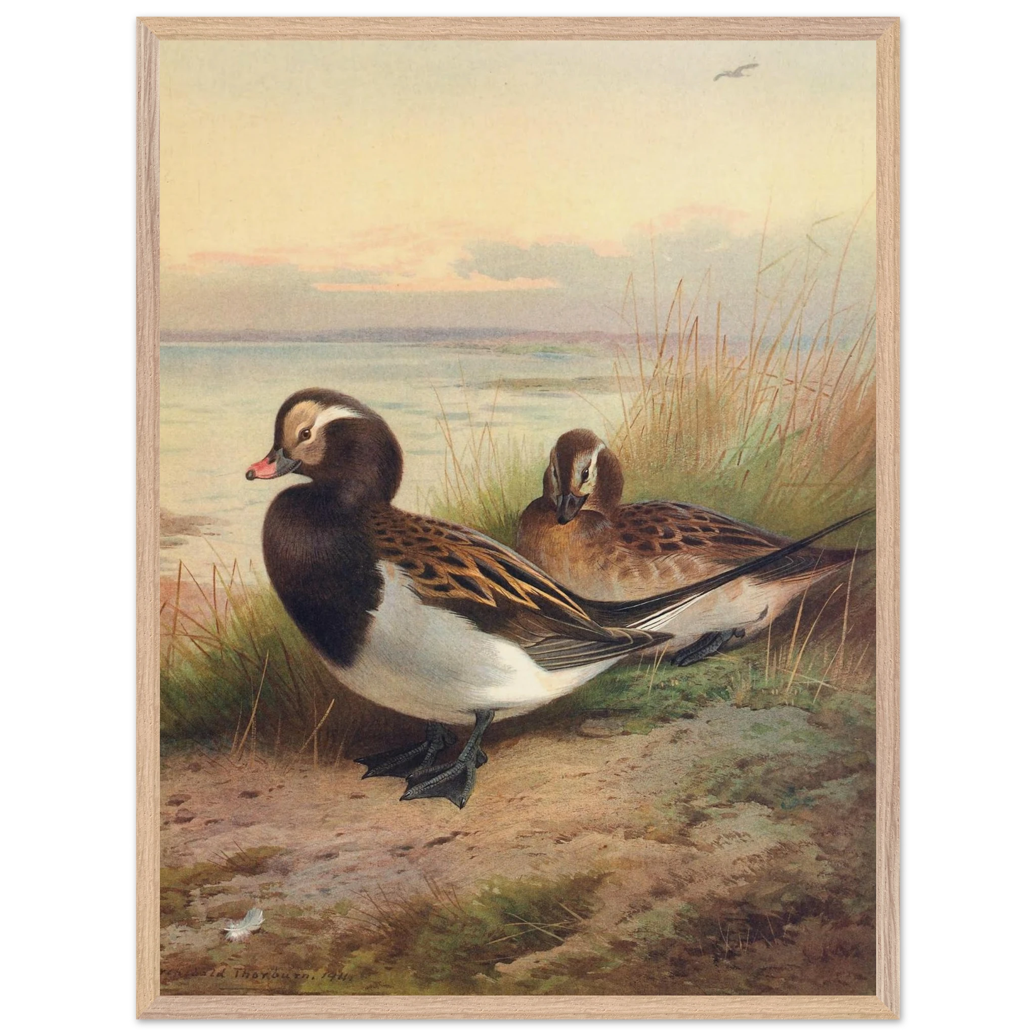 a492bcda-c38d-4926-96d0-46356d370db7