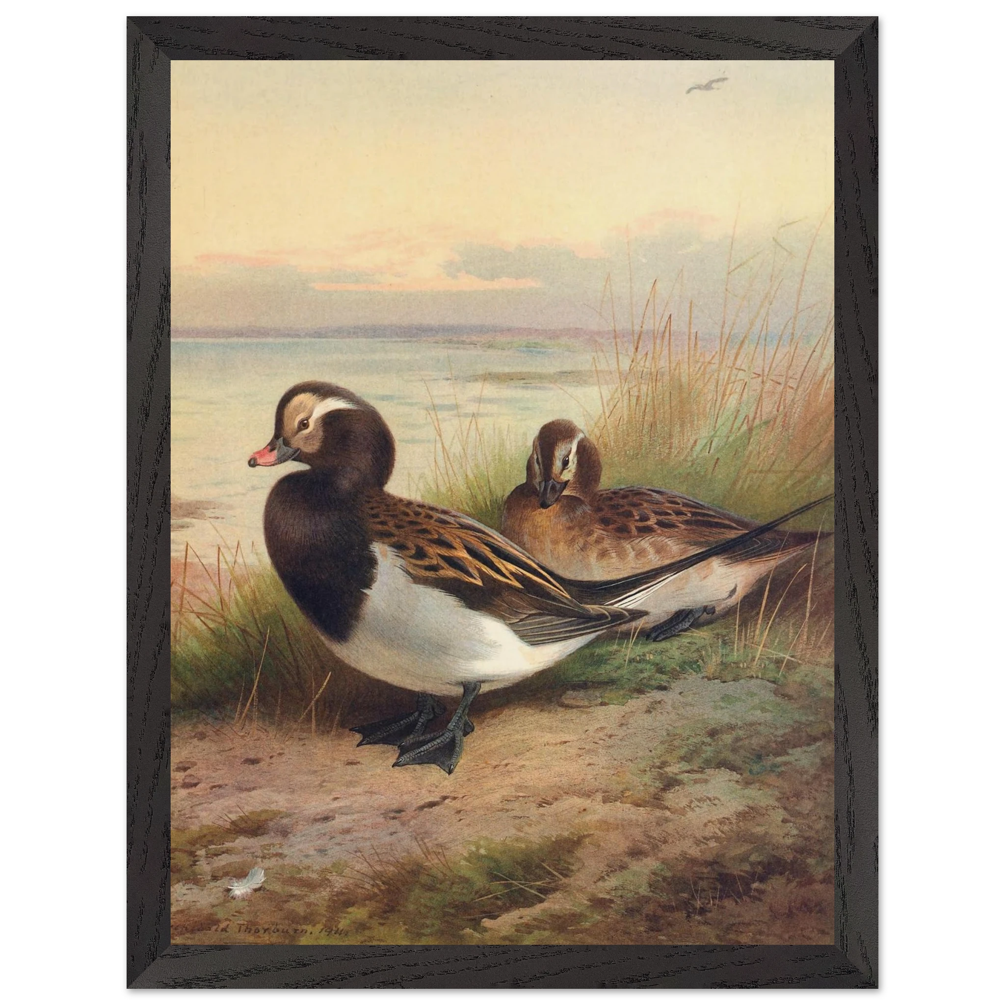 c06d2b93-7f37-4a52-b430-8c99a5f6aec3