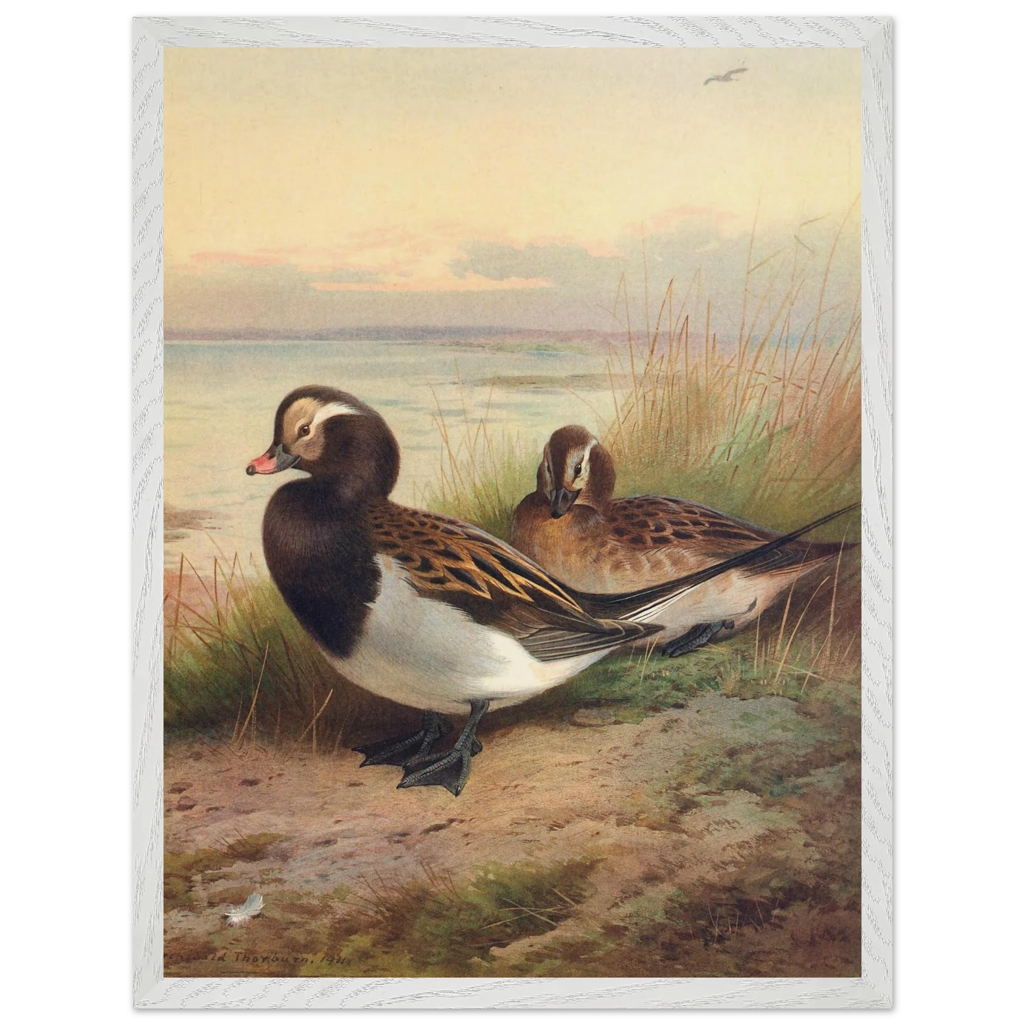 ddea8753-85ca-484f-b39d-aa2feefb89a4