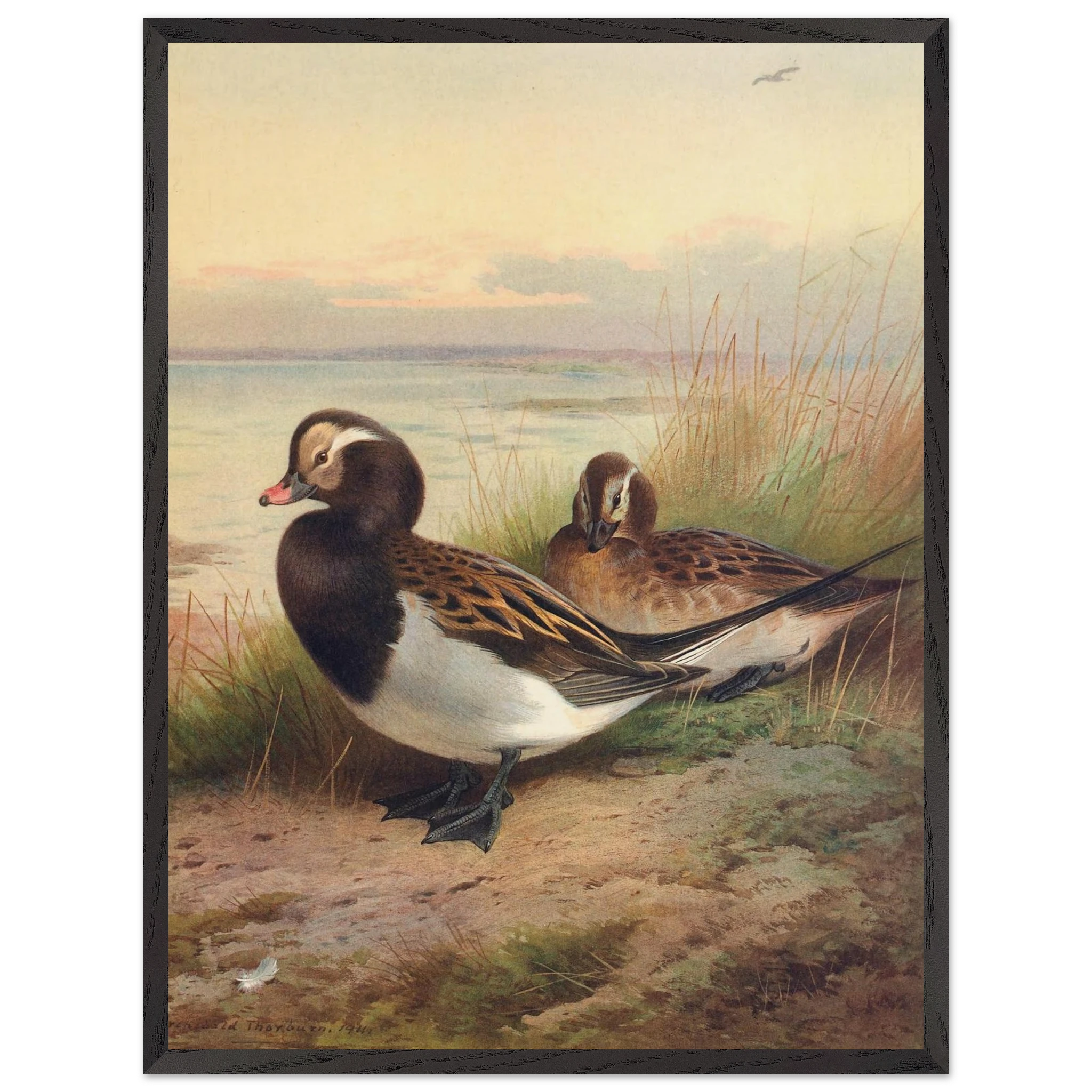 e3f4688f-dba4-4ac5-b5e8-8773a77e9f00