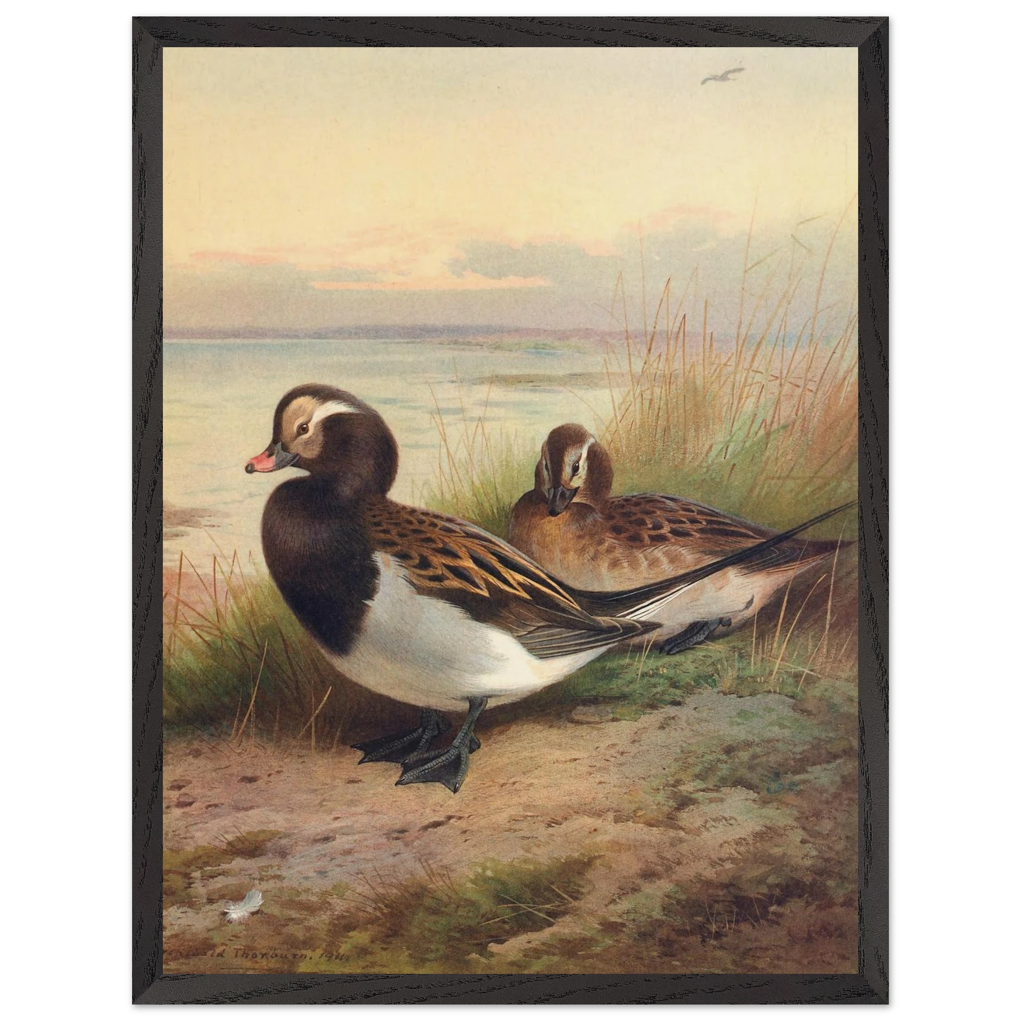 fd2afb83-eb4b-448b-ac7b-e93bb9b4f93f